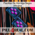 African Black Ant Pills 03